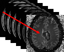 T1 Mapping Logo Resized.png