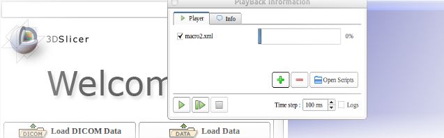 3DSlicerQtTesting.png